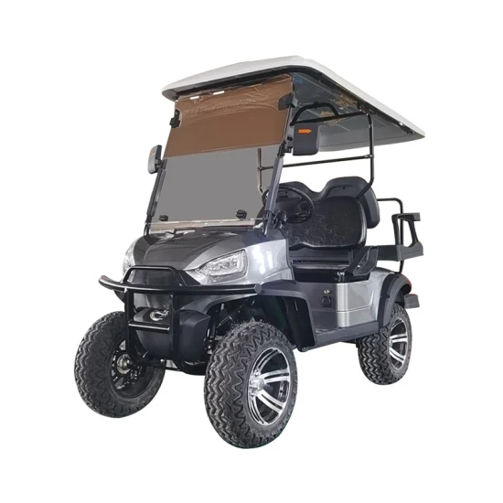 Carro de golf de acrílico plegable de alta calidad con parabrisas Ds aprobado por el DOT